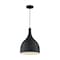 Nuvo Fixture, Pendant, 1-Light, Incandescent, 100W, 120V, A19, Medium Base 60/7087 - alternate 2